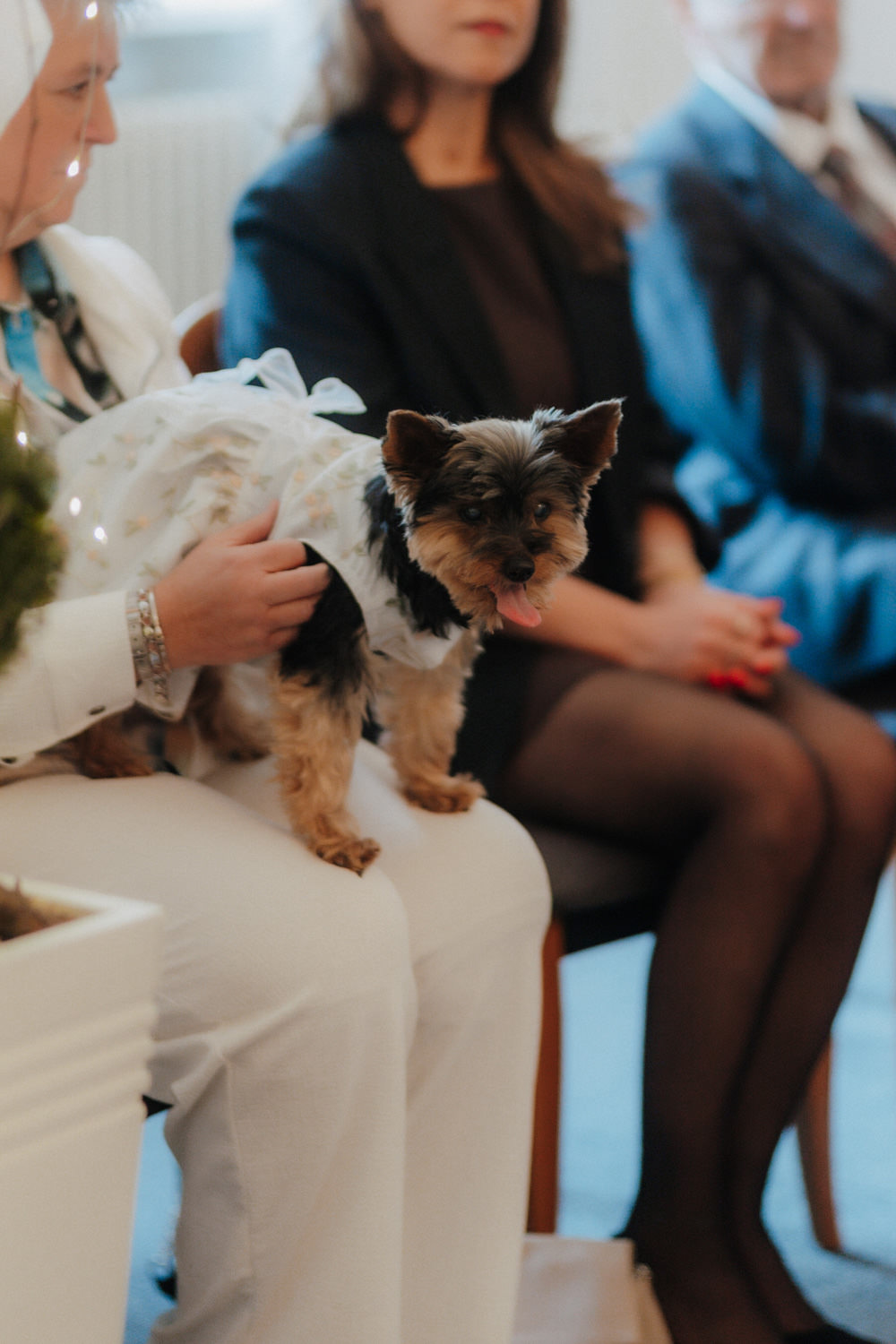 Hochzeitsgast mit Hund in Outfit – persönliche Feier in Kassel