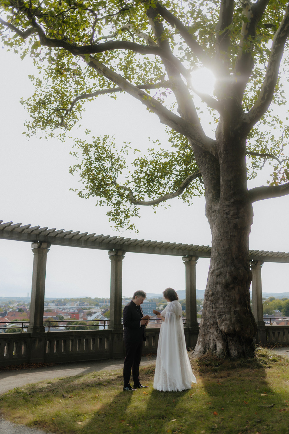 Brautpaar liest Eheversprechen unter Baum – freie Trauung Kassel Outdoor