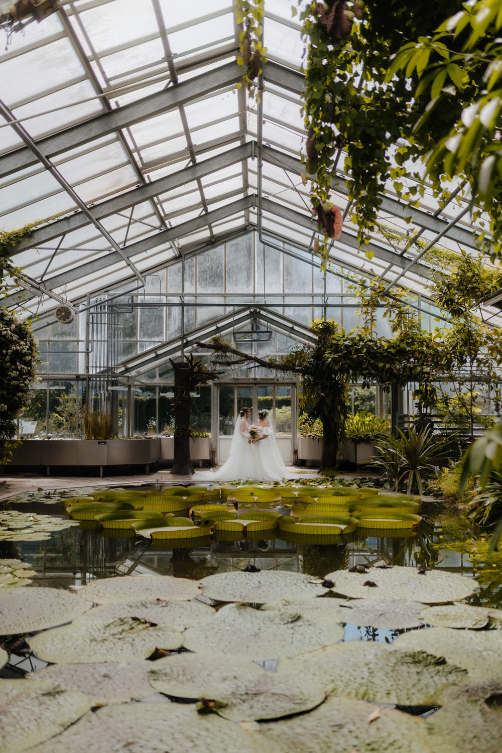 Hochzeitsfoto Gewächshaus Bonn, lesbisches Brautpaar zwischen tropischen Pflanzen