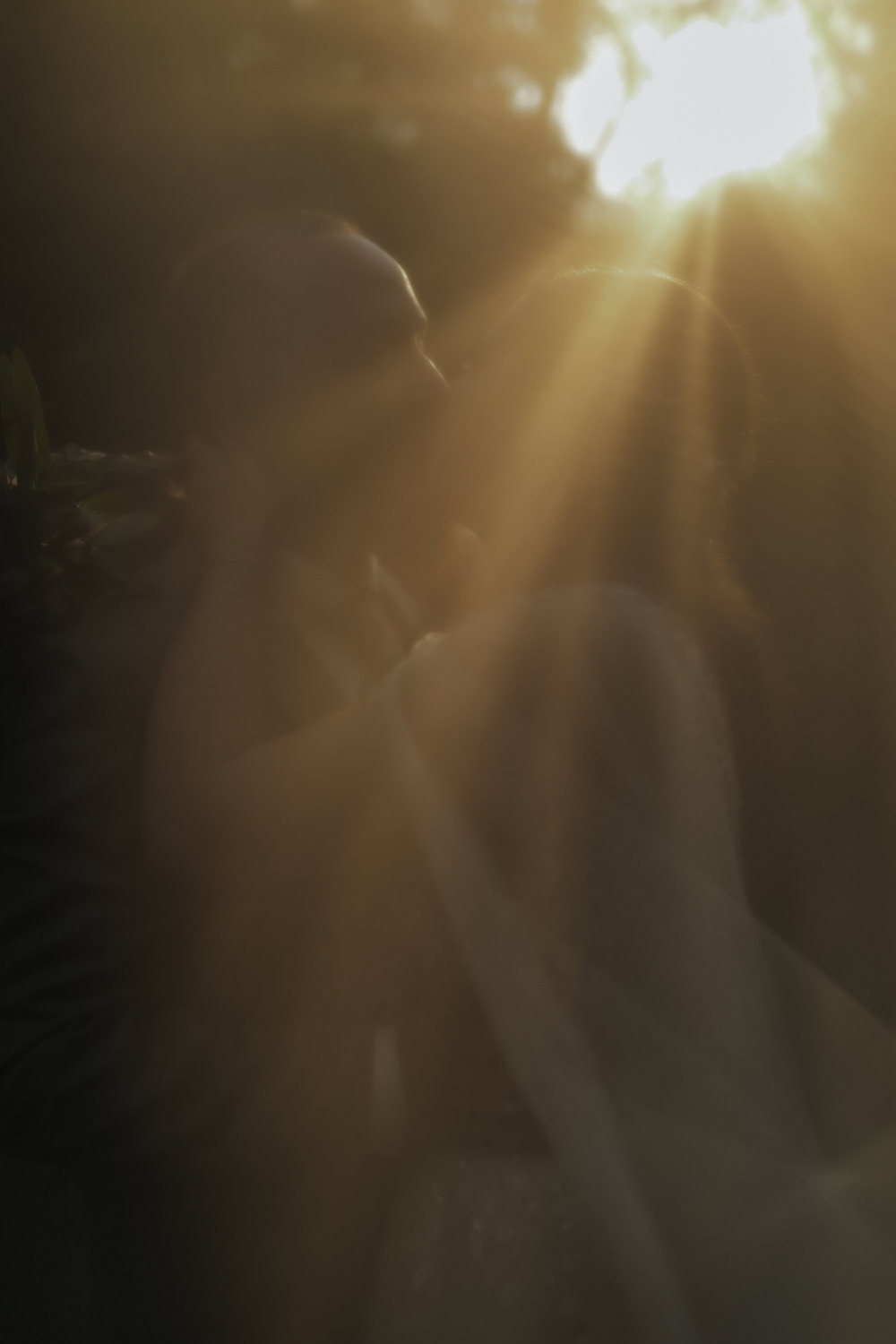 Künstlerisches Hochzeitsbild mit Sonnenstrahlen und Schleier Kuss